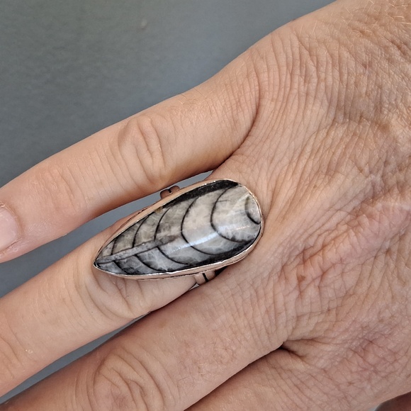 New Orthoceras Fossil 925 Silver Ring. - Picture 5 of 12